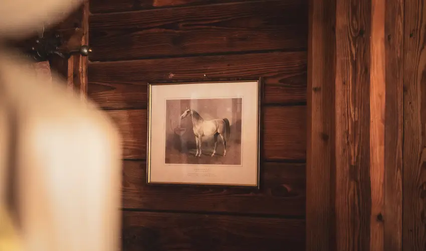 H�tk�ti Wellness Hotel & Lovaspark M�r - Augusztus 20.