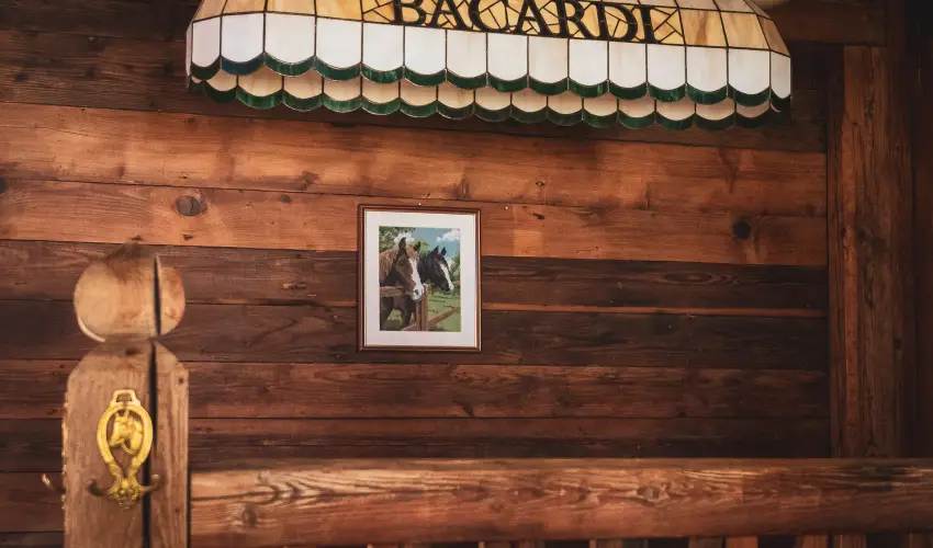 H�tk�ti Wellness Hotel & Lovaspark M�r - Augusztus 20.