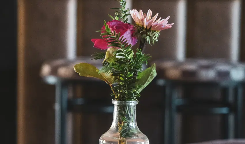 H�tk�ti Wellness Hotel & Lovaspark M�r - Augusztus 20.