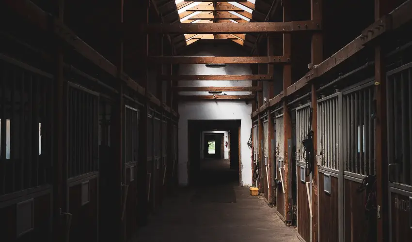 H�tk�ti Wellness Hotel & Lovaspark M�r - Augusztus 20.