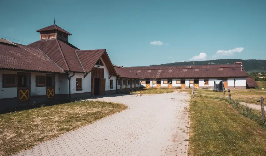 H�tk�ti Wellness Hotel & Lovaspark M�r - Augusztus 20.