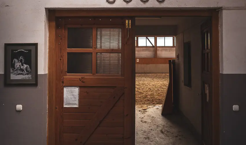 H�tk�ti Wellness Hotel & Lovaspark M�r - Augusztus 20.