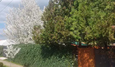 Holiday Apartman M�rahalom