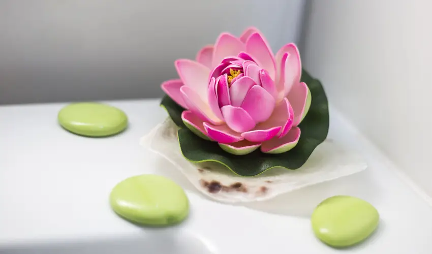 Holiday Club Apartman Hotel H�v�z H�v�z - Augusztus 20. (min. 2 �j)