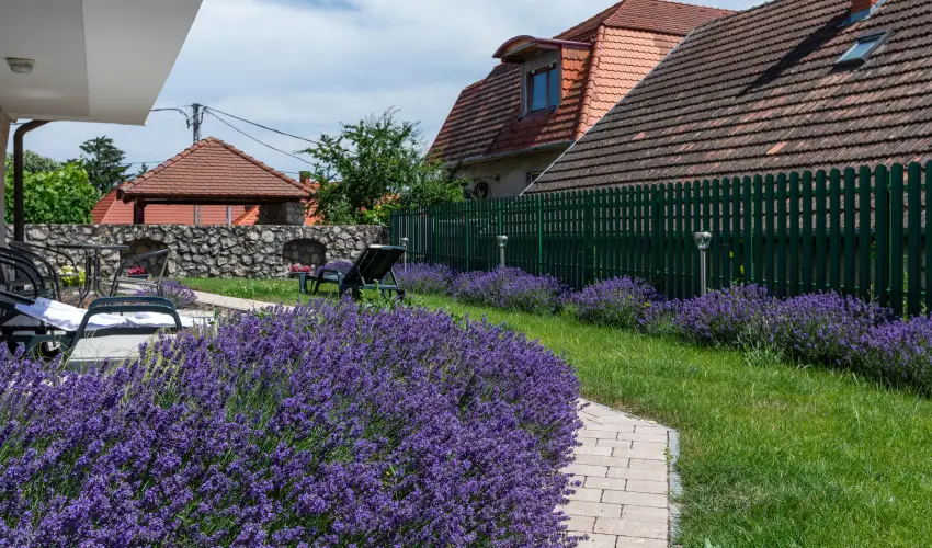 Holiday Club Apartman Hotel H�v�z H�v�z - Augusztus 20. (min. 2 �j)