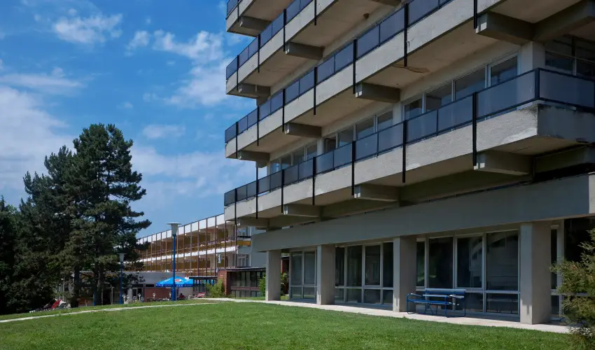 Holiday Hotel Csopak Csopak - Augusztus 20.