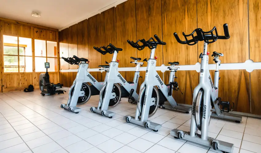 Holiday Hotel Csopak Csopak - Augusztus 20.