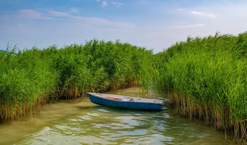 Holiday Resorts Balatonszrsz - Augusztus 20. (min. 2 j)