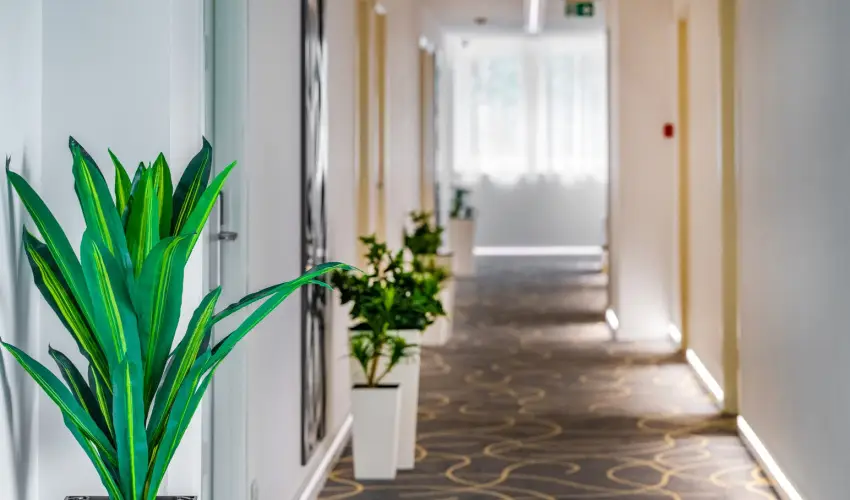 Holiday Resorts Balatonszrsz - Augusztus 20. (min. 2 j)