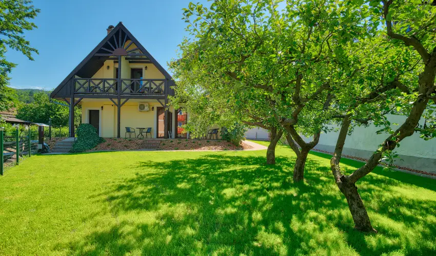 Honti Panzi Visegrd - Augusztus 20. (min. 3 j)