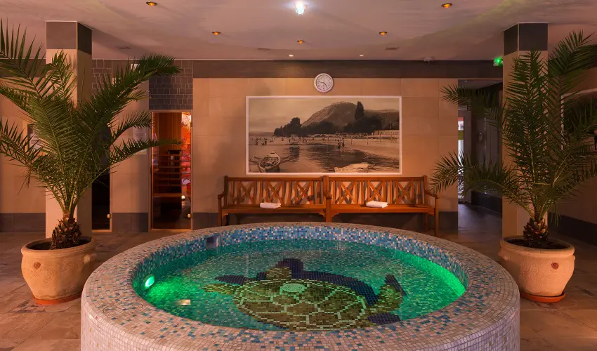 Honti Panzi Visegrd - Augusztus 20. (min. 3 j)