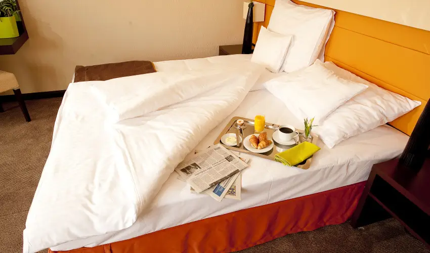 Abacus Business & Wellness Hotel Herceghalom - Augusztus 20.