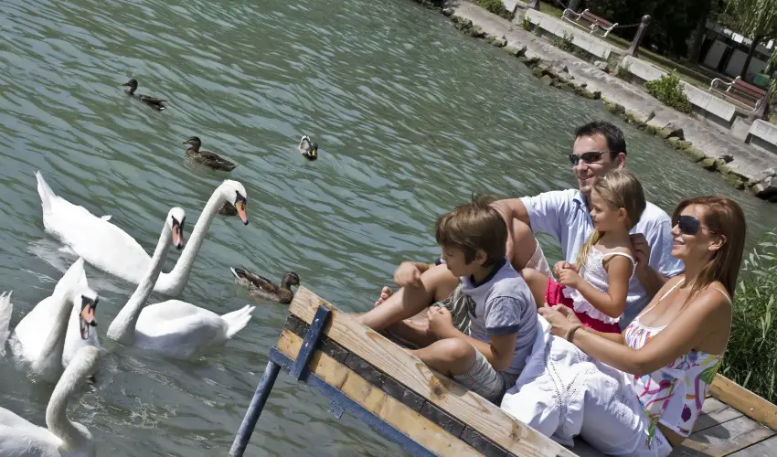 Danubius Hotel Annabella Balatonfred - Augusztus 20.