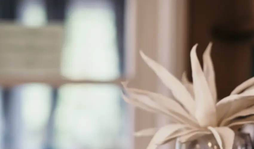 Hotel Arbortum Harkny - Augusztus 20. (min. 2 j)