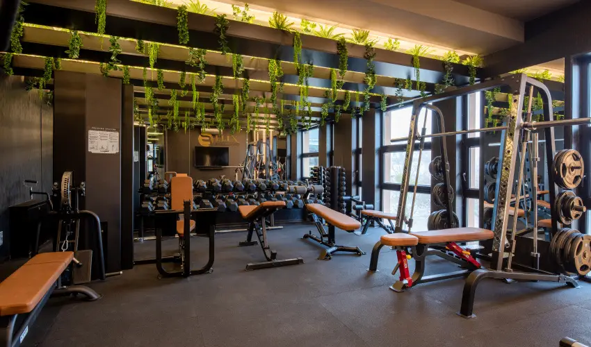 Hotel Bodrog Wellness & Elix Spa S�rospatak - Augusztus 20. (min. 3 �j)