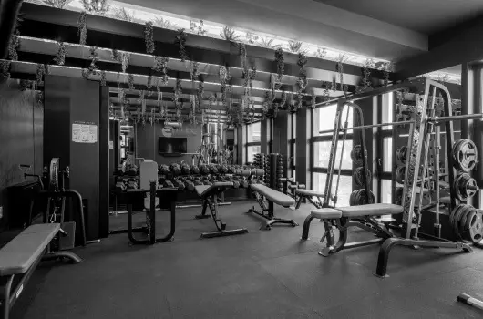 Hotel Bodrog Wellness & Elix Spa - Augusztus 20. (min. 2 �j)