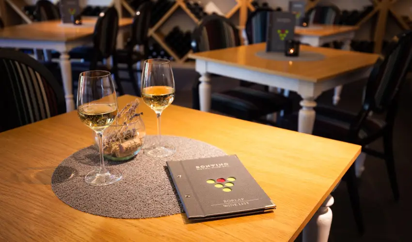 Hotel Bonvino Wine & Spa Badacsony - Augusztus 20. (min. 2 j)