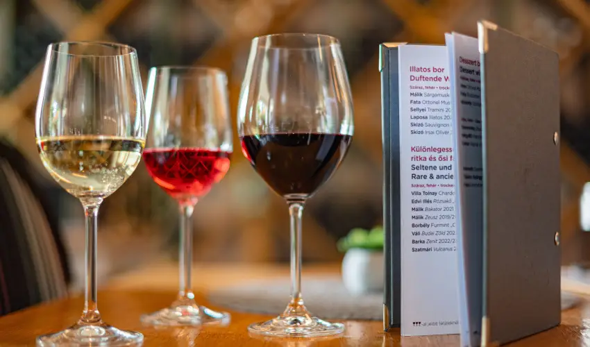 Hotel Bonvino Wine & Spa Badacsony - Augusztus 20. (min. 2 j)