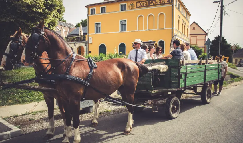 Hotel Cabernet Vill�nyk�vesd - Augusztus 20.
