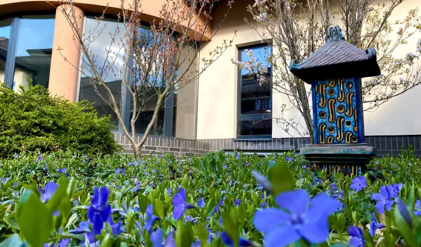 Caramell Premium Resort Bk, Bkfrd - Augusztus 20.