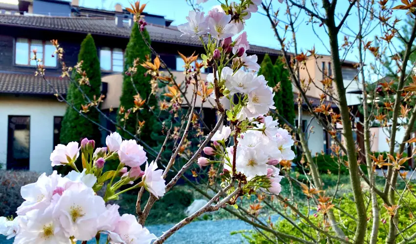 Caramell Premium Resort Bk, Bkfrd - Augusztus 20.