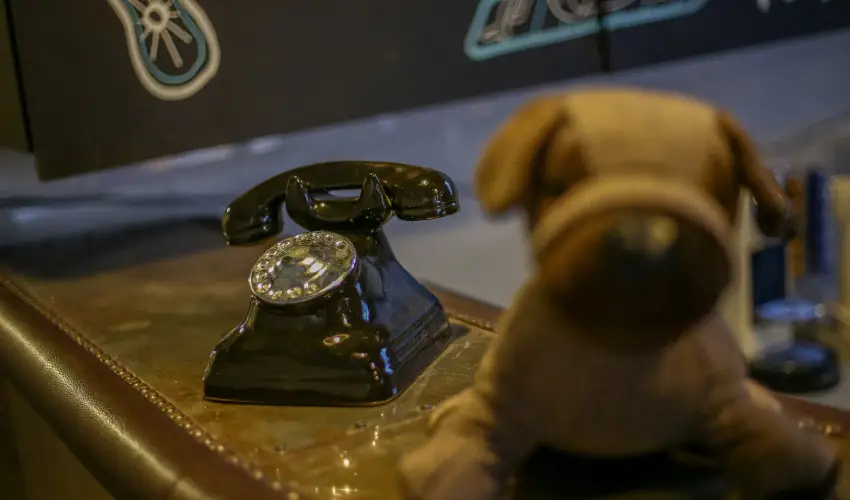 Hotel Carpe Diem Sifok - Augusztus 20. (min. 2 j)