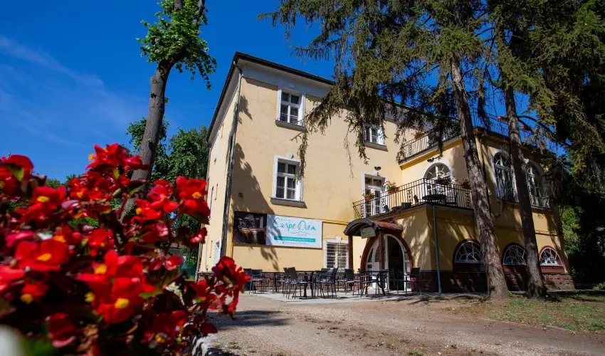 Hotel Carpe Diem Sifok - Augusztus 20. (min. 2 j)