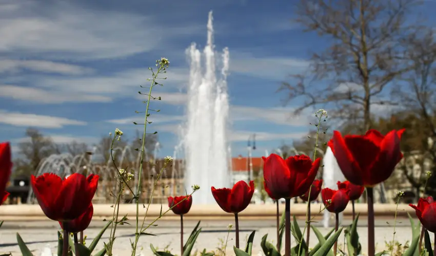 Hotel Centr�l Nagykanizsa - Augusztus 20.