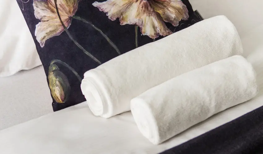 Hotel Csopak Resort & Lake Csopak - Augusztus 20.