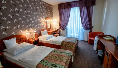 Hotel Erzs�bet H�v�z