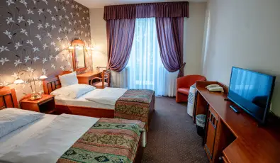 Hotel Erzs�bet H�v�z