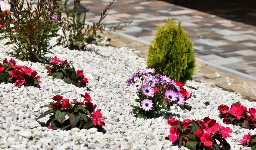 Hotel Forr�s Zalakaros Zalakaros - Augusztus 20. (min. 2 �j)