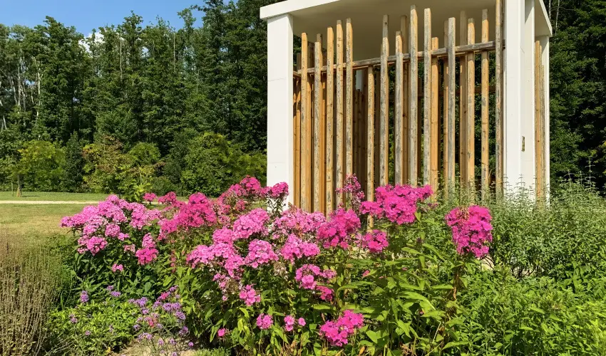 Hunguest Hotel Freya Zalakaros - Augusztus  20. (min. 3 j)