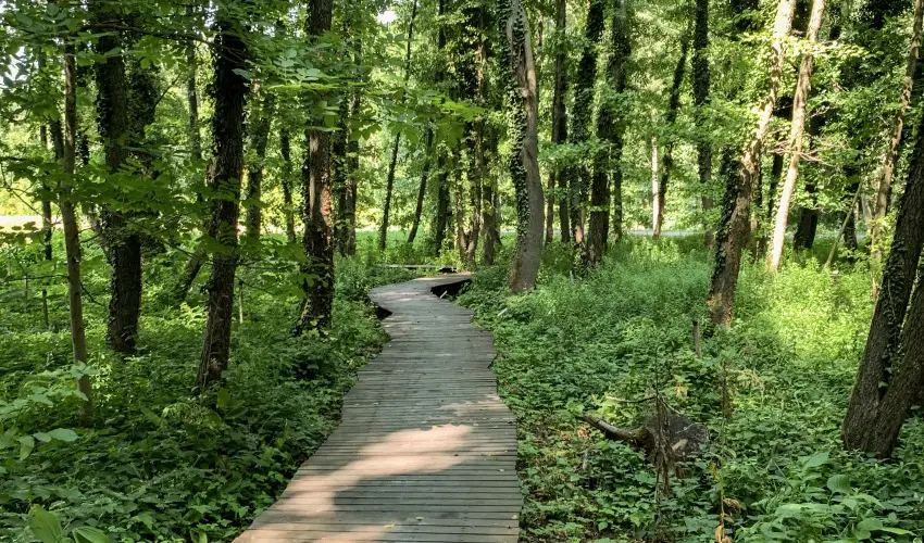 Hunguest Hotel Freya Zalakaros - Augusztus  20. (min. 3 j)