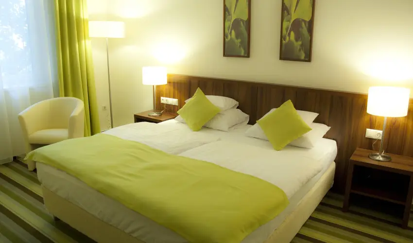 Hotel Ginkgo H�dmez�v�s�rhely - Augusztus 20.