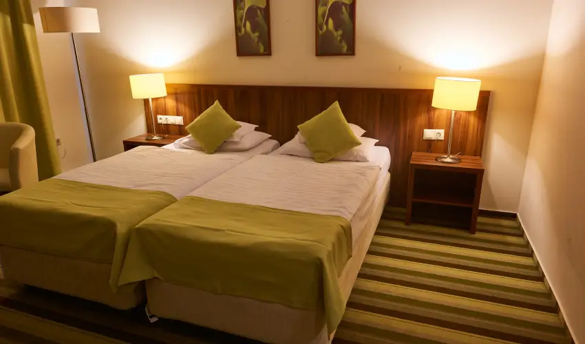 Hotel Ginkgo H�dmez�v�s�rhely - Augusztus 20.