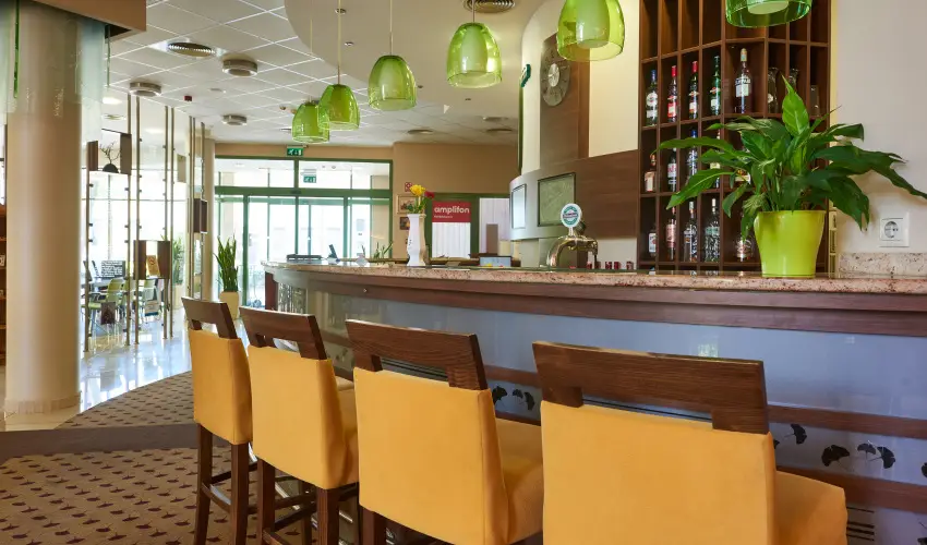 Hotel Ginkgo H�dmez�v�s�rhely - Augusztus 20.