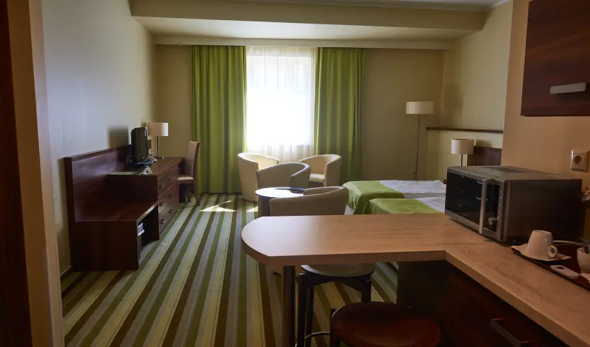 Hotel Ginkgo H�dmez�v�s�rhely - Augusztus 20.