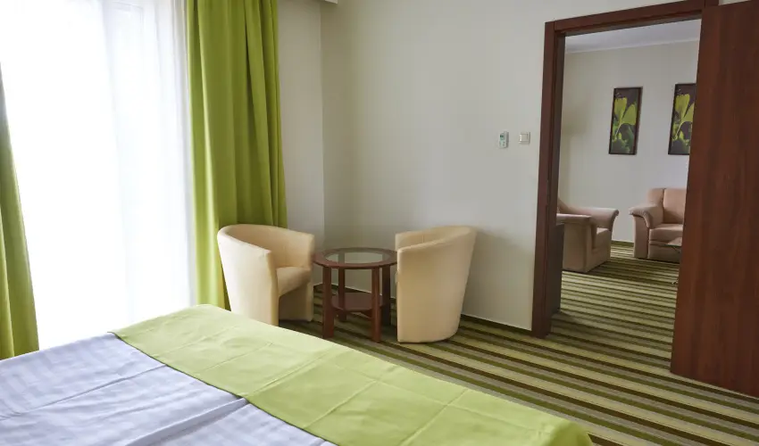 Hotel Ginkgo H�dmez�v�s�rhely - Augusztus 20.