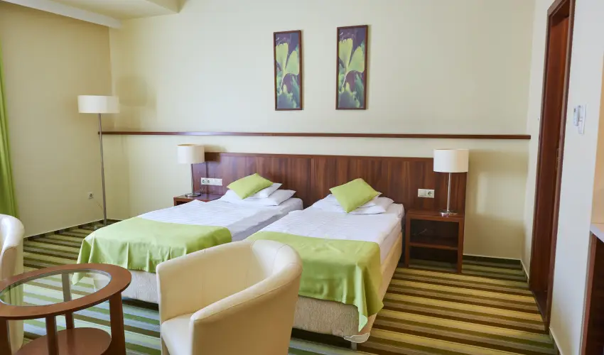 Hotel Ginkgo H�dmez�v�s�rhely - Augusztus 20.