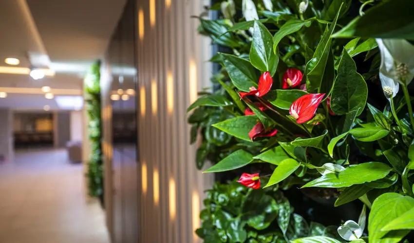 Greenfield Hotel Golf & Spa B�k, B�kf�rd� - Augusztus 20. (min. 2 �j)