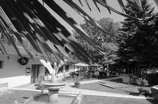 Hotel Hal�szkert - Augusztus 20.