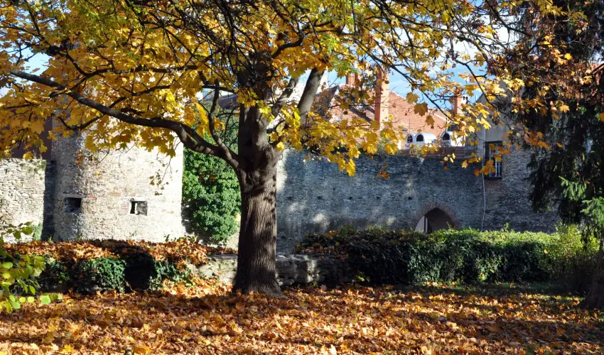 Hotel �rottk� K�szeg - Augusztus 20. 