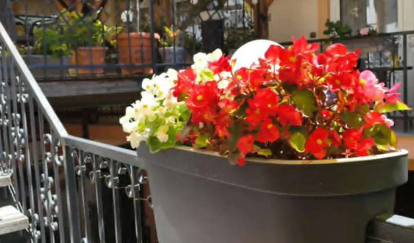 Hotel Isabell Gy�r - Augusztus 20.