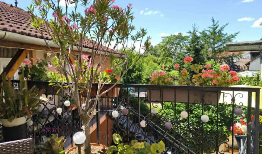 Hotel Isabell Gy�r - Augusztus 20.