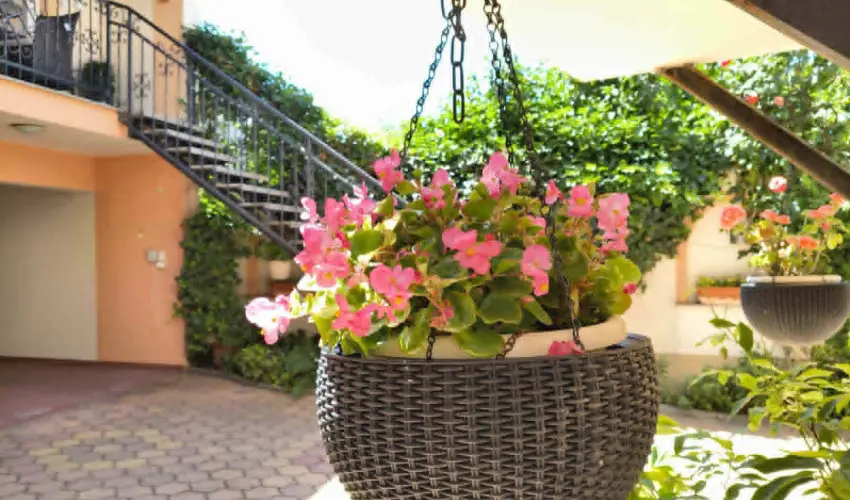 Hotel Isabell Gy�r - Augusztus 20.