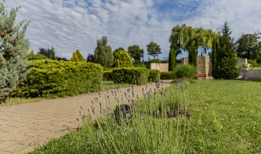 Hotel Karos Spa Zalakaros - Augusztus 20.