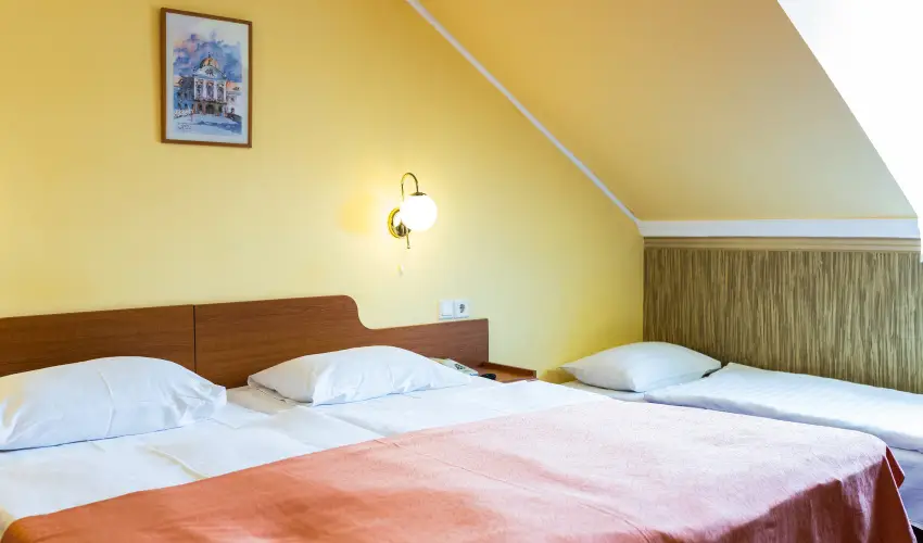 Hotel Korona Wellness, Rendezvény & Borhotel Eger Eger - Augusztus 20. (min. 3 éj)