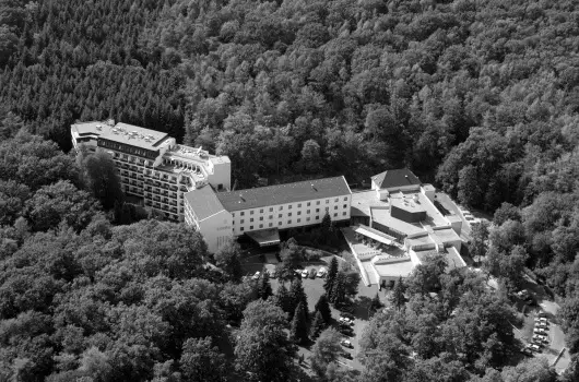 Hotel L�v�r - Augusztus 20. (min. 2 �j)