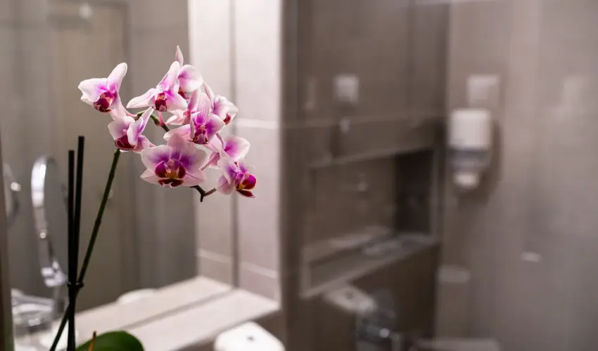 Hotel Margarta Balatonfred - Augusztus 20.